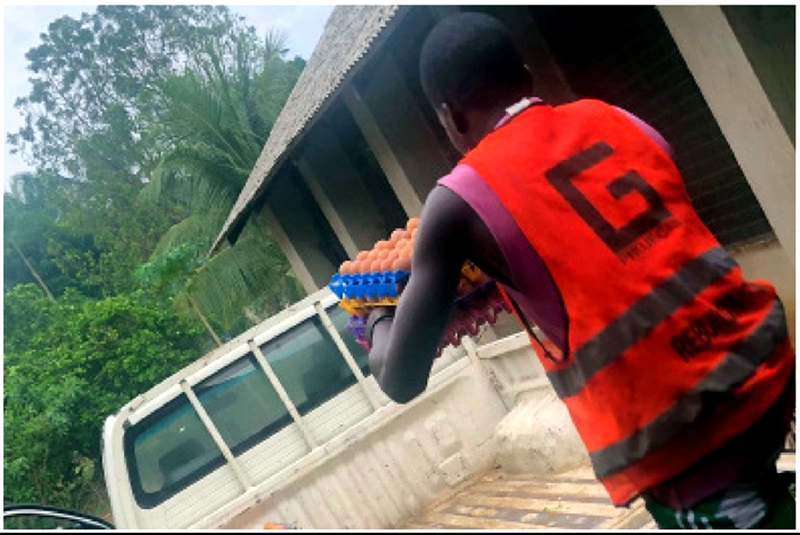 G Initiative team member loading trays of eggs for community distribution